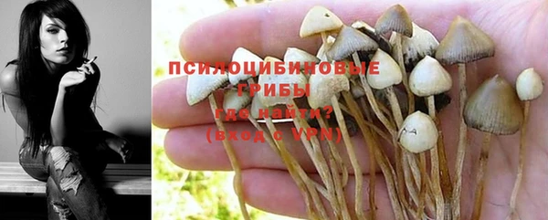прущие крисы Армянск